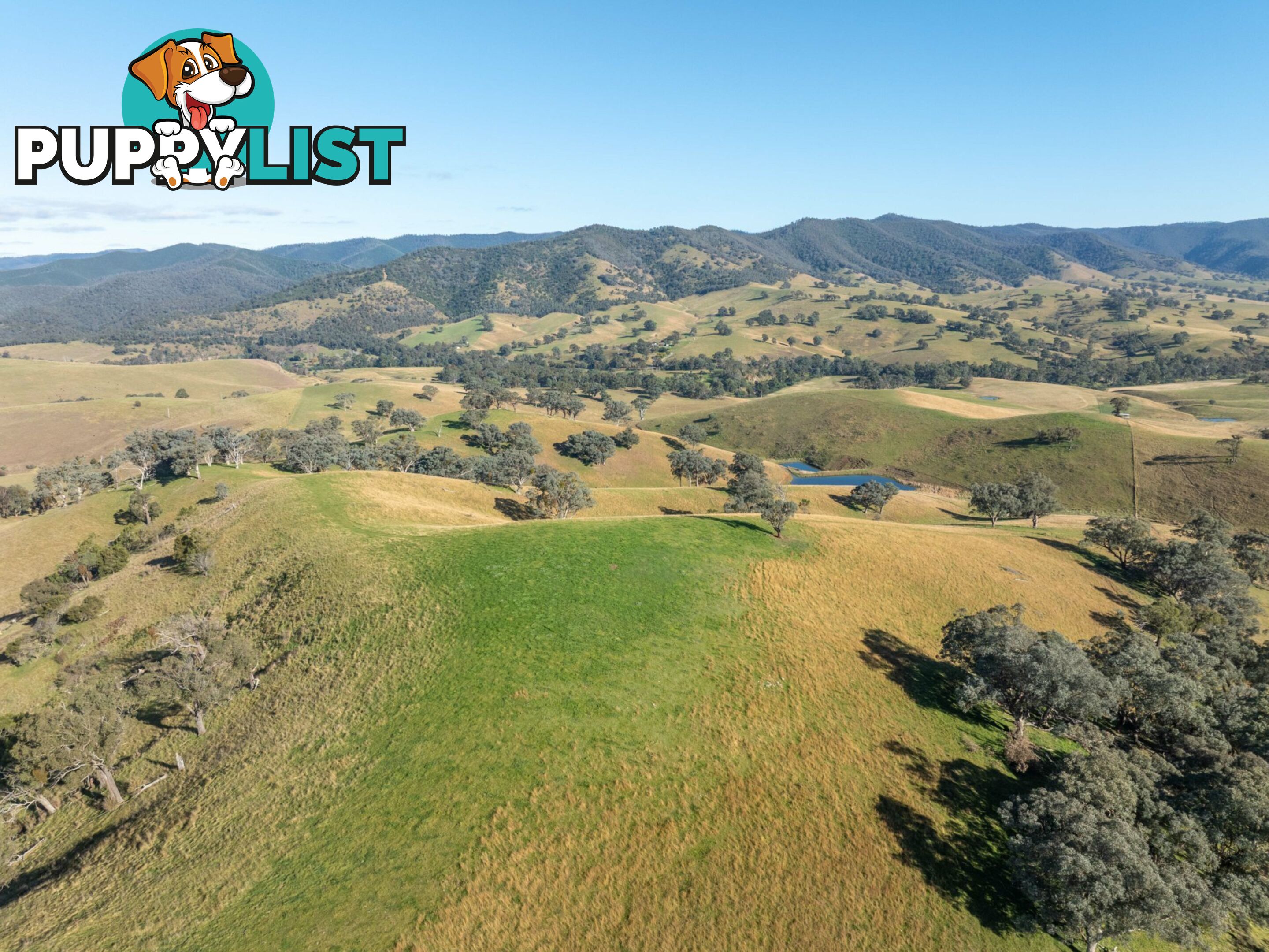 Lot 5 Sandy Creek Road REEDY FLAT VIC 3895