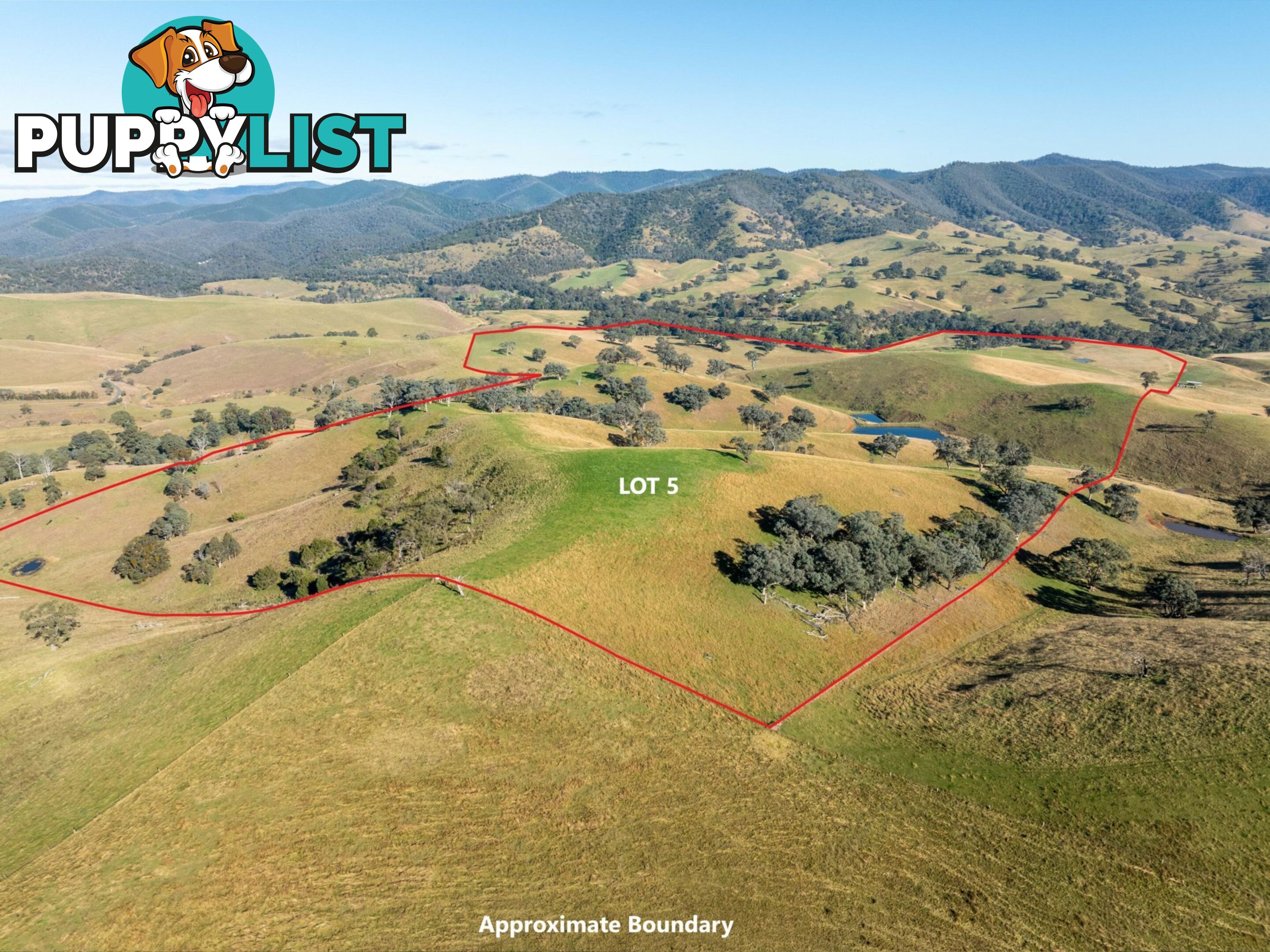 Lot 5 Sandy Creek Road REEDY FLAT VIC 3895