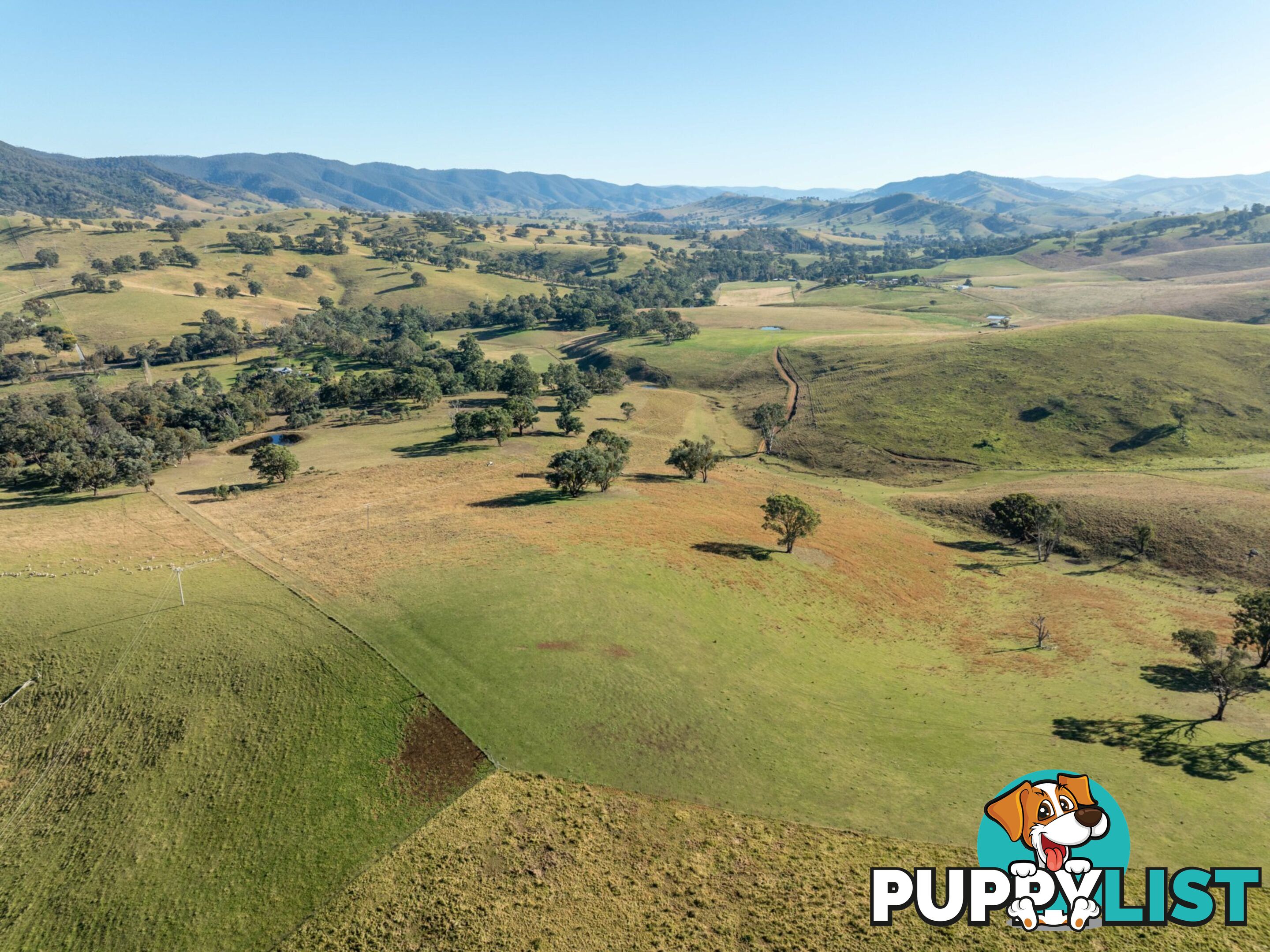 Lot 5 Sandy Creek Road REEDY FLAT VIC 3895
