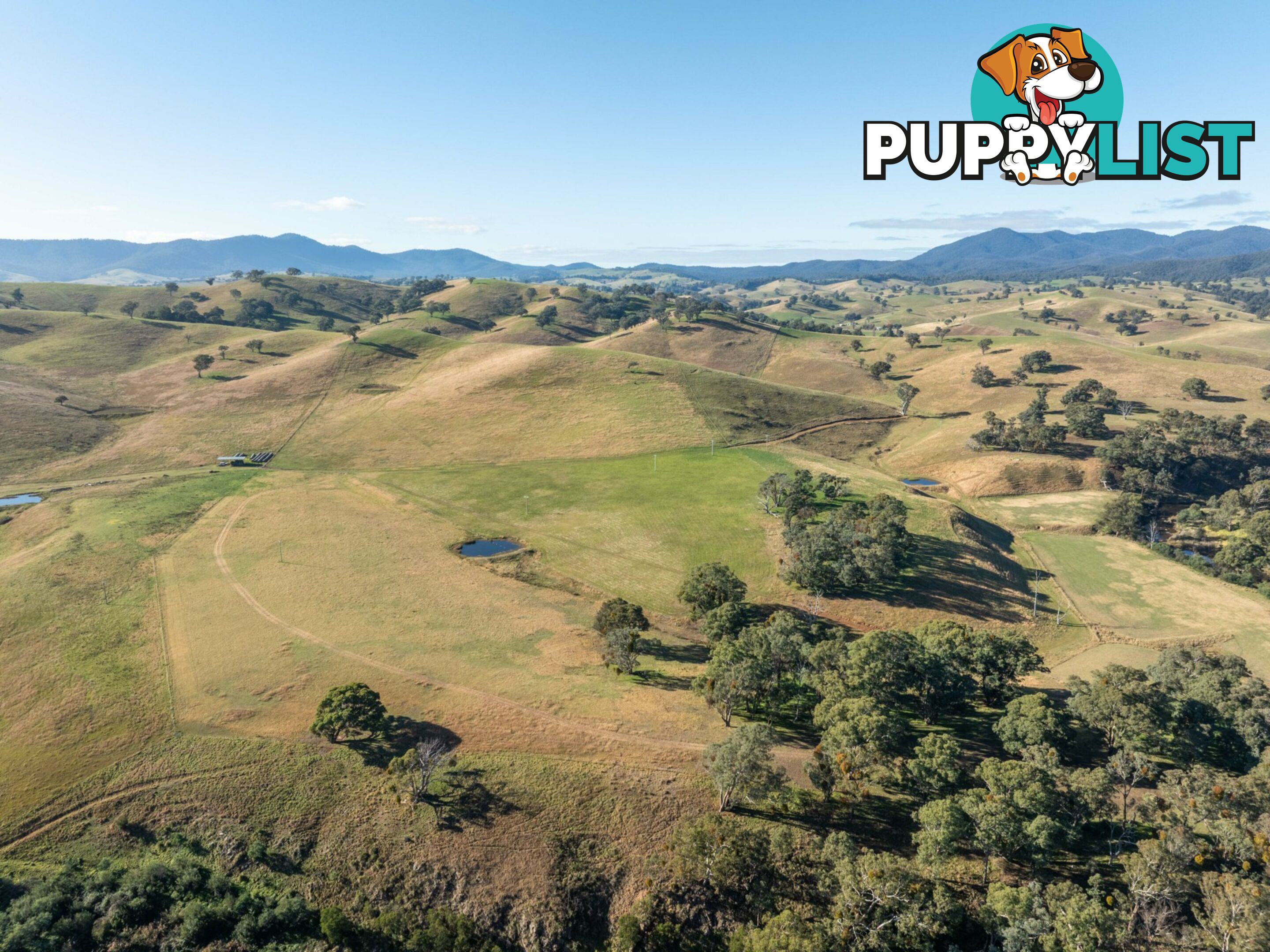 Lot 5 Sandy Creek Road REEDY FLAT VIC 3895