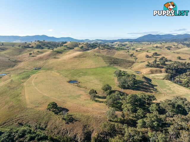 Lot 5 Sandy Creek Road REEDY FLAT VIC 3895