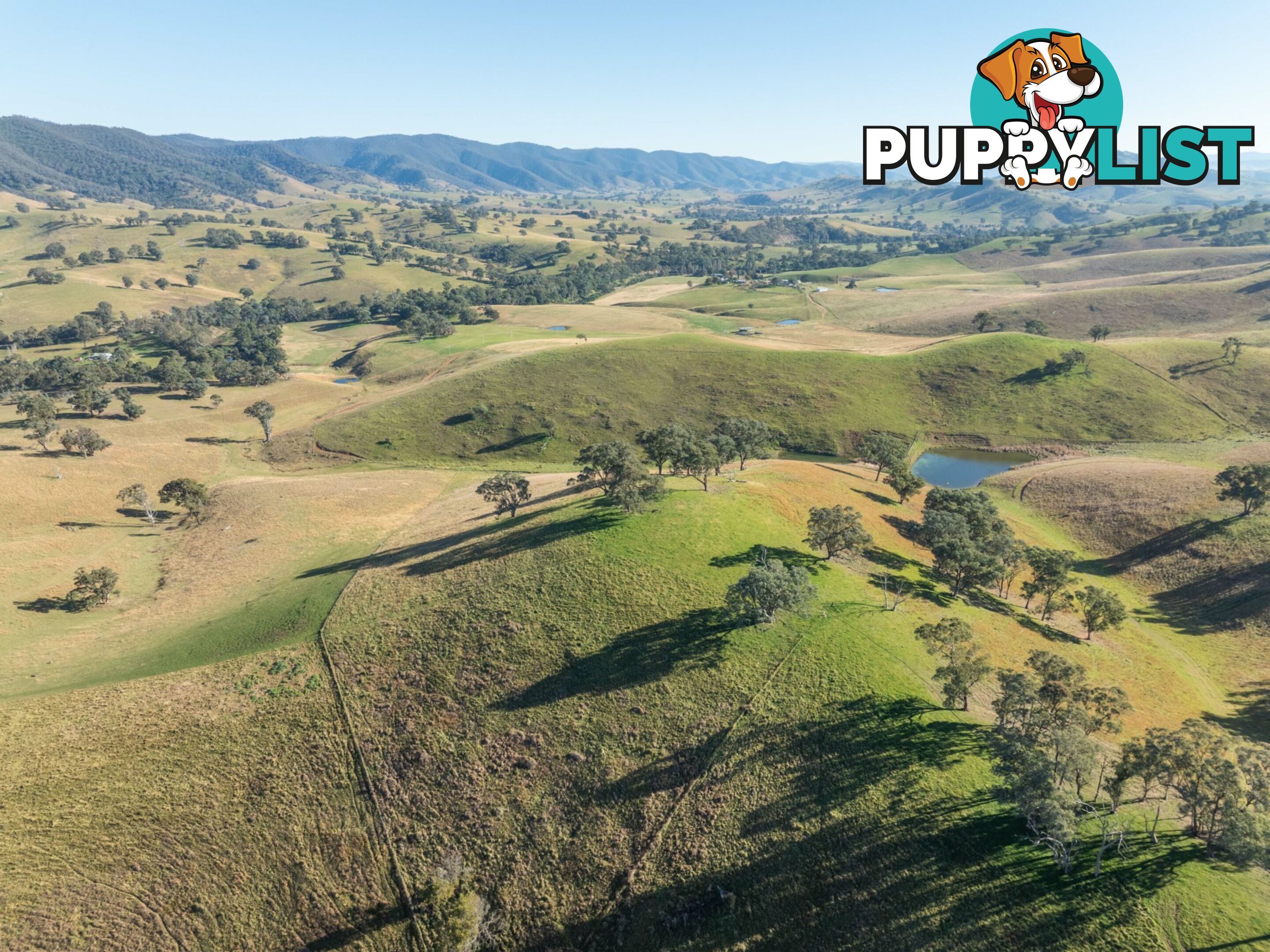 Lot 5 Sandy Creek Road REEDY FLAT VIC 3895