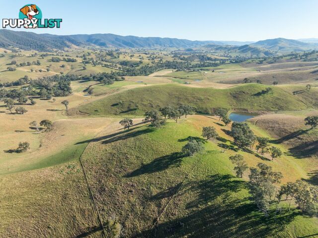 Lot 5 Sandy Creek Road REEDY FLAT VIC 3895