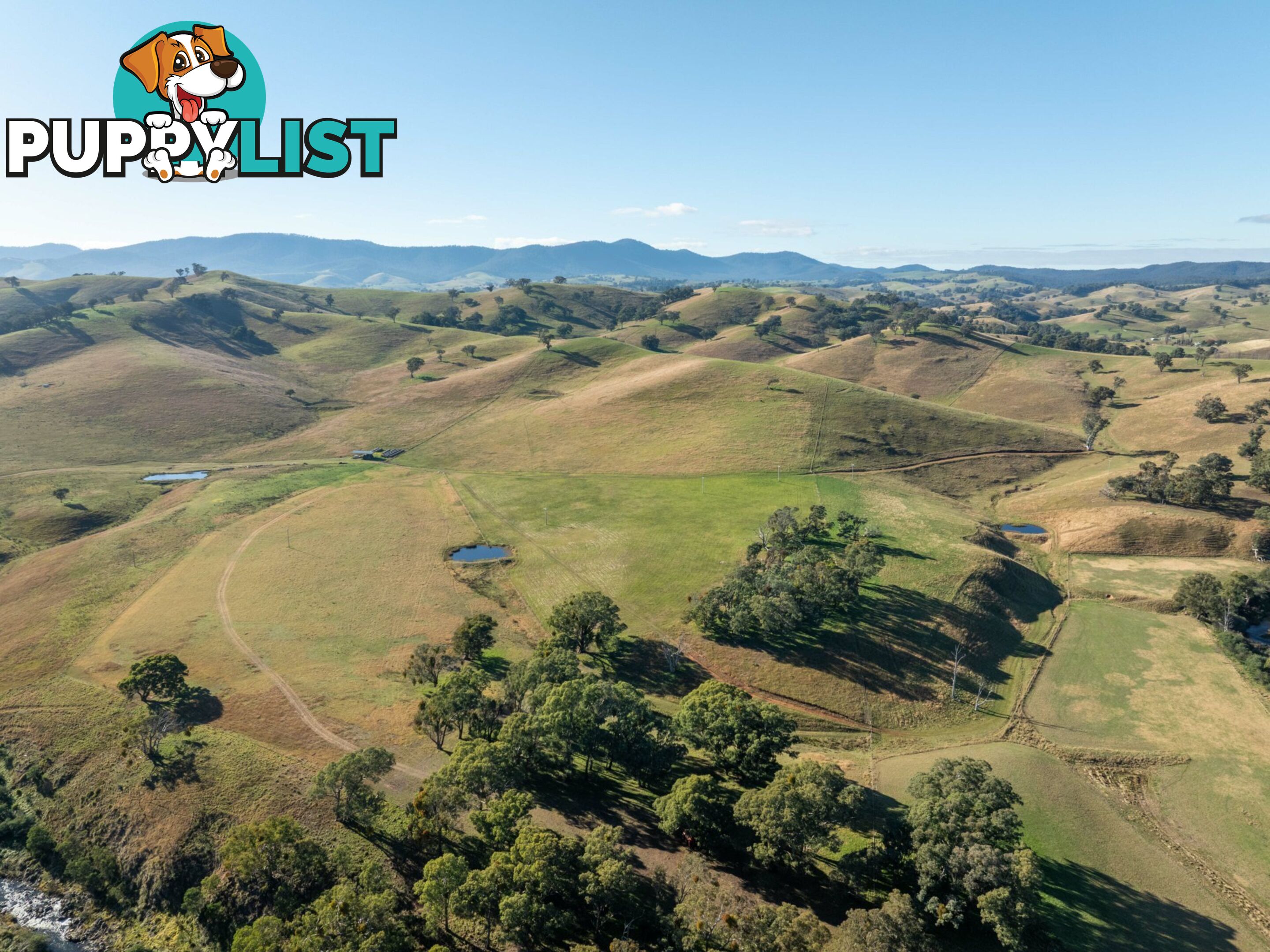 Lot 5 Sandy Creek Road REEDY FLAT VIC 3895
