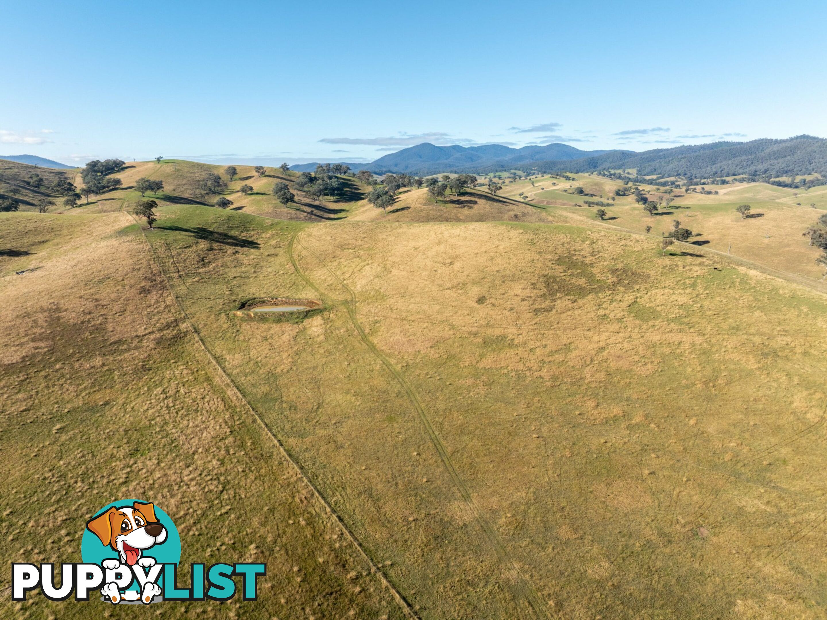 Lot 5 Sandy Creek Road REEDY FLAT VIC 3895