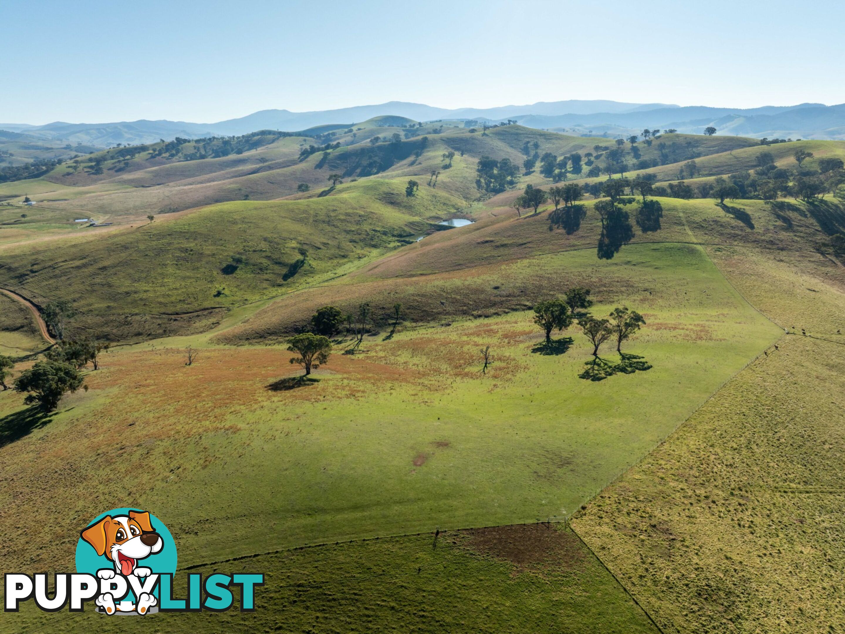 Lot 5 Sandy Creek Road REEDY FLAT VIC 3895
