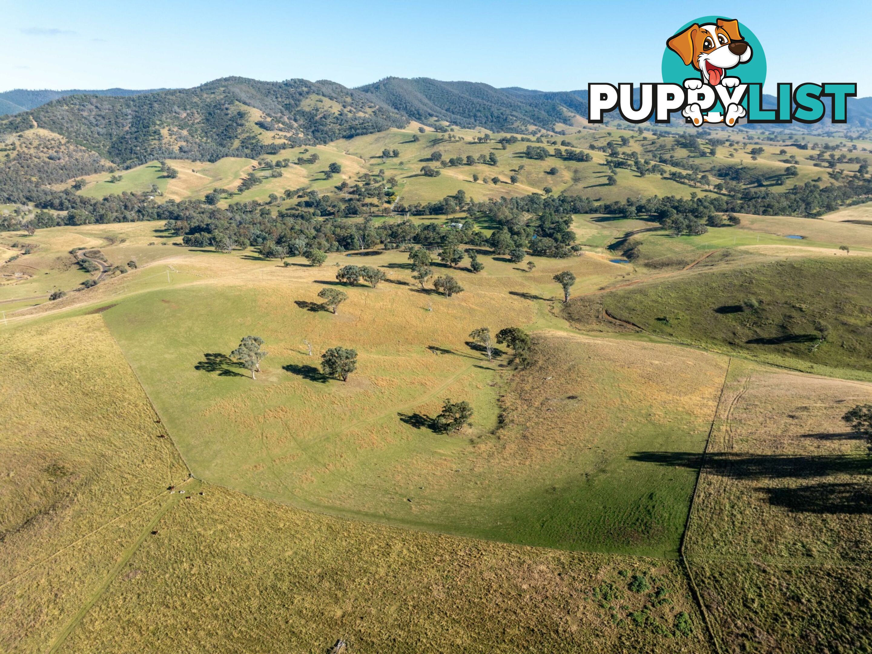 Lot 5 Sandy Creek Road REEDY FLAT VIC 3895