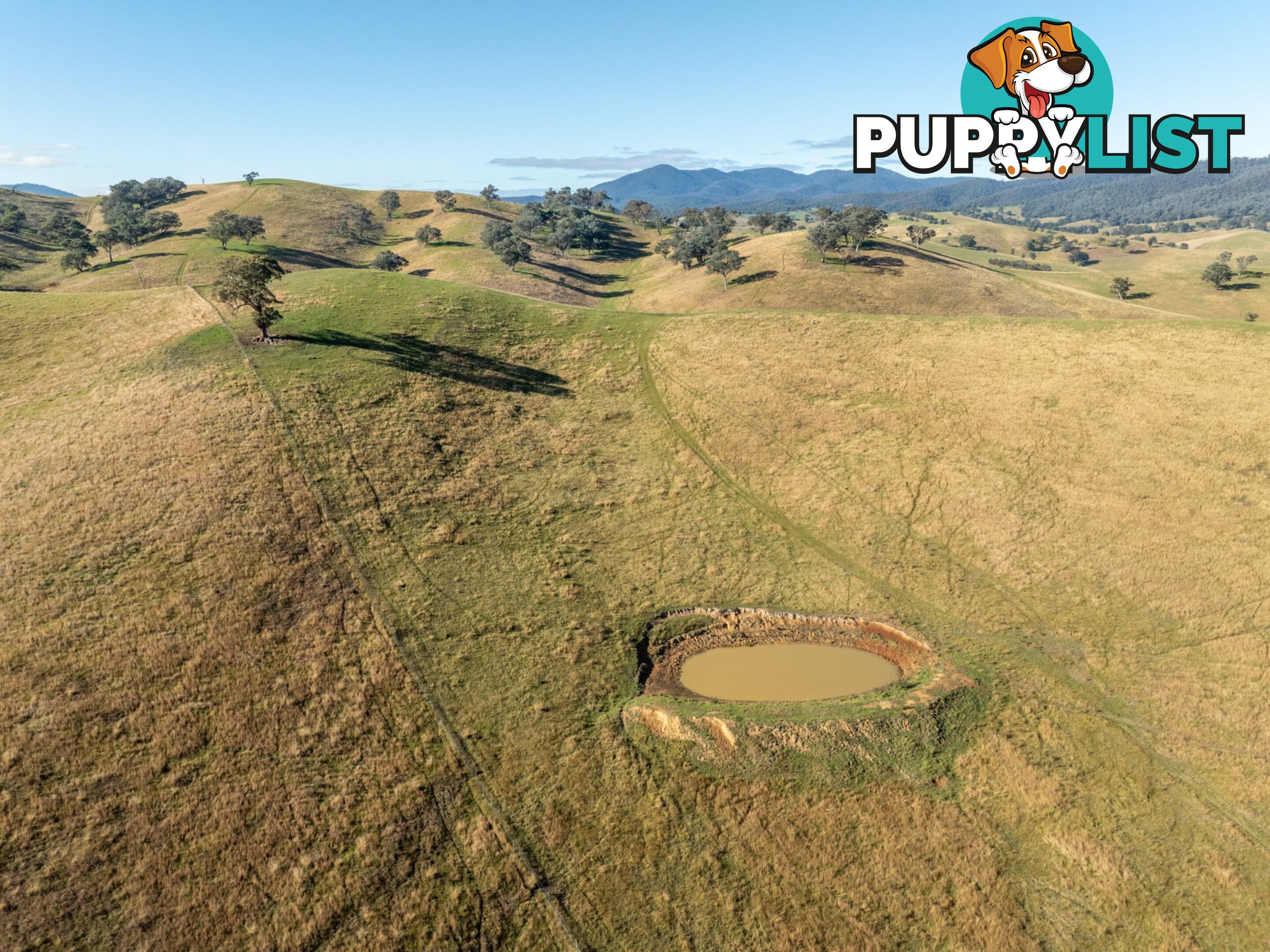 Lot 5 Sandy Creek Road REEDY FLAT VIC 3895