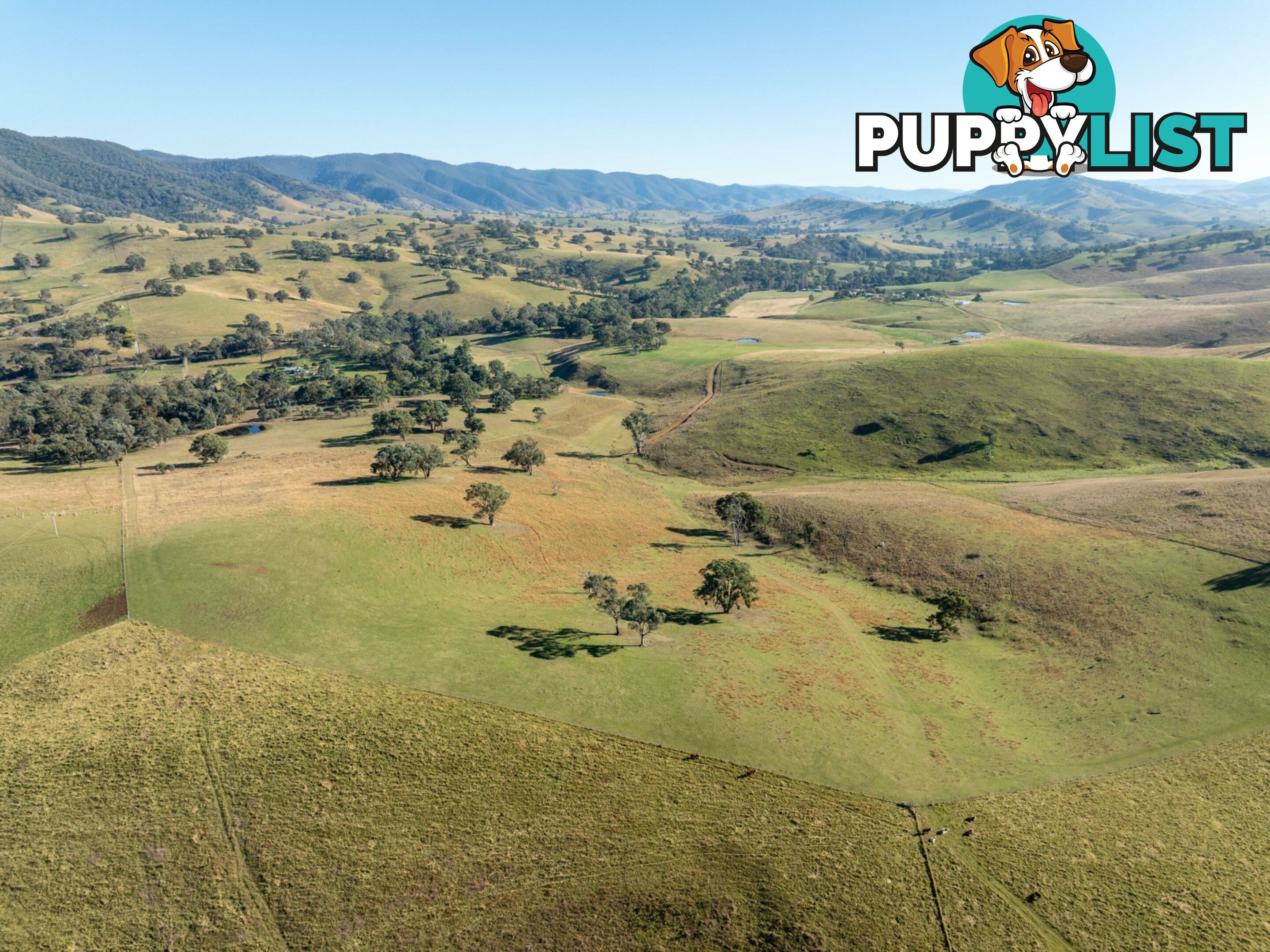 Lot 5 Sandy Creek Road REEDY FLAT VIC 3895
