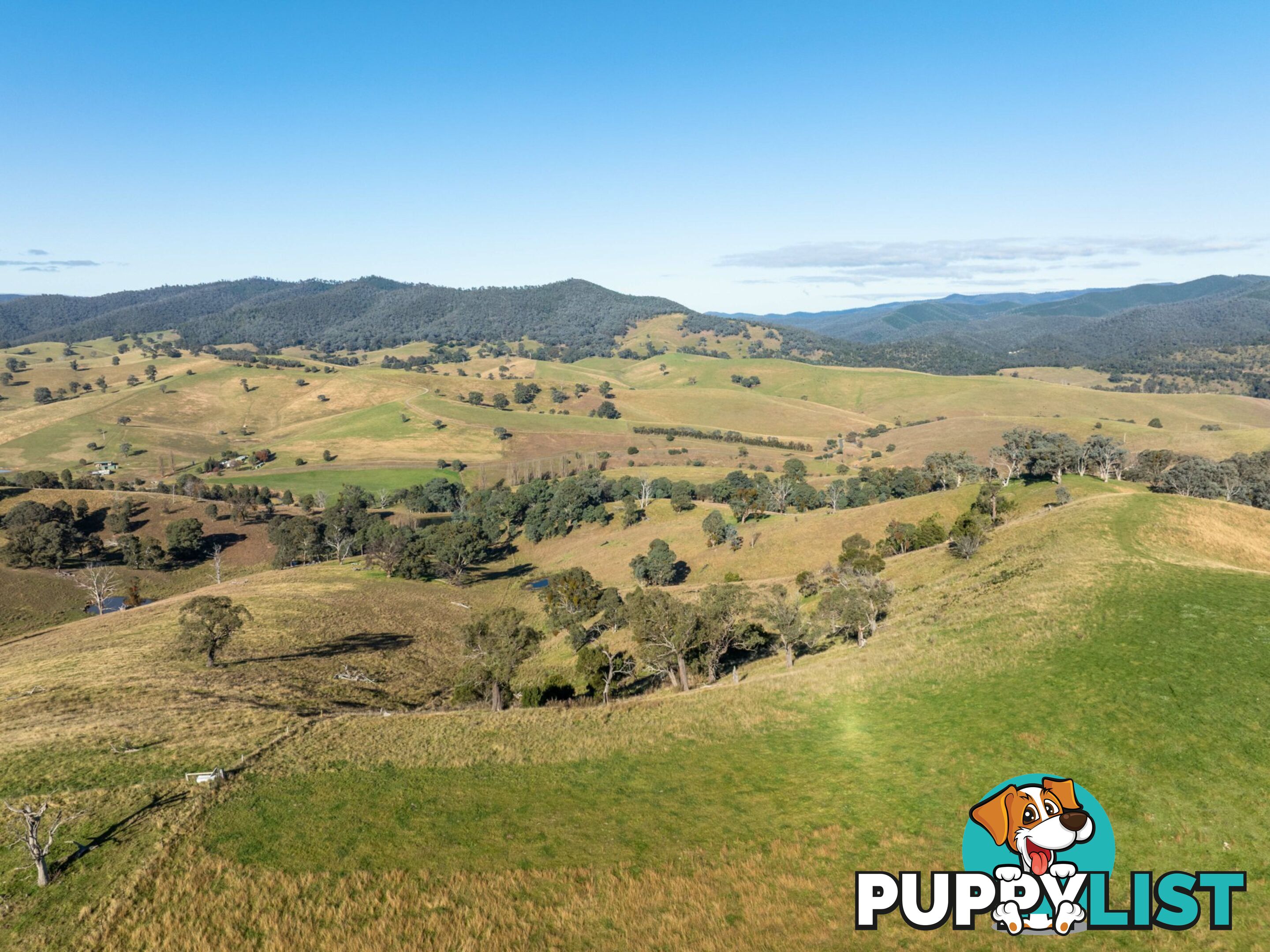 Lot 5 Sandy Creek Road REEDY FLAT VIC 3895