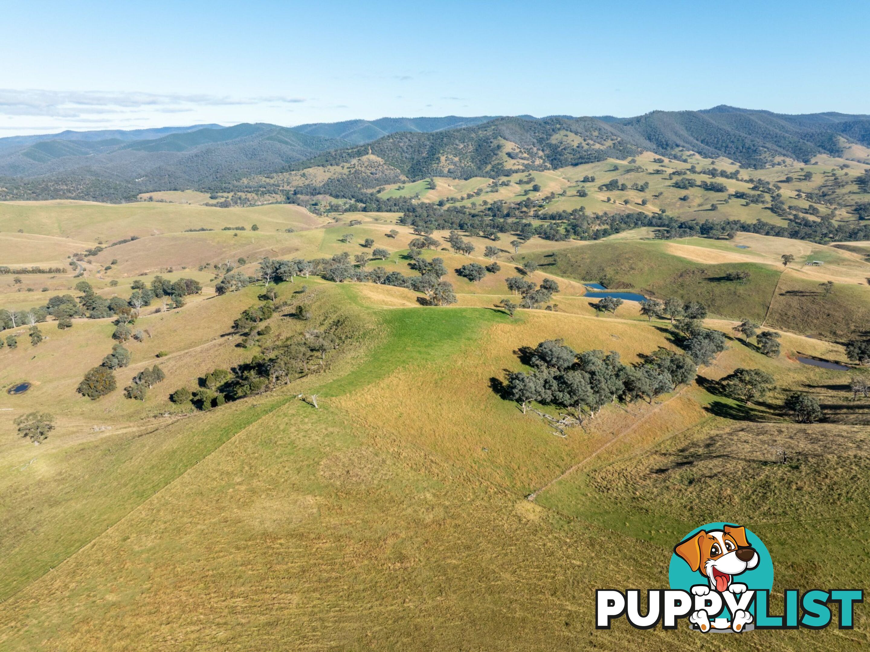 Lot 5 Sandy Creek Road REEDY FLAT VIC 3895