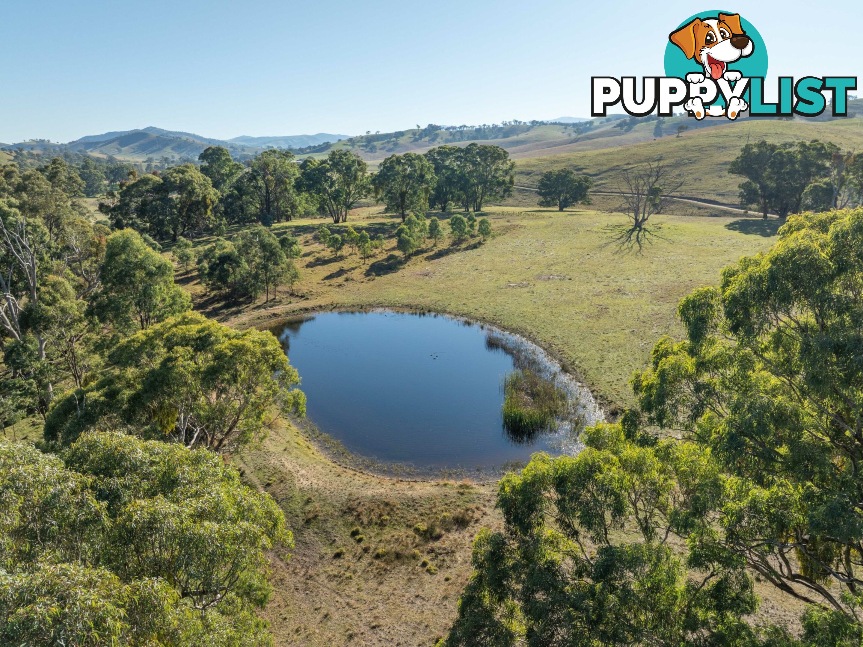 Lot 5 Sandy Creek Road REEDY FLAT VIC 3895