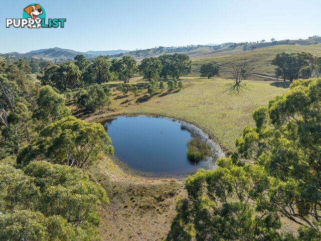 Lot 5 Sandy Creek Road REEDY FLAT VIC 3895