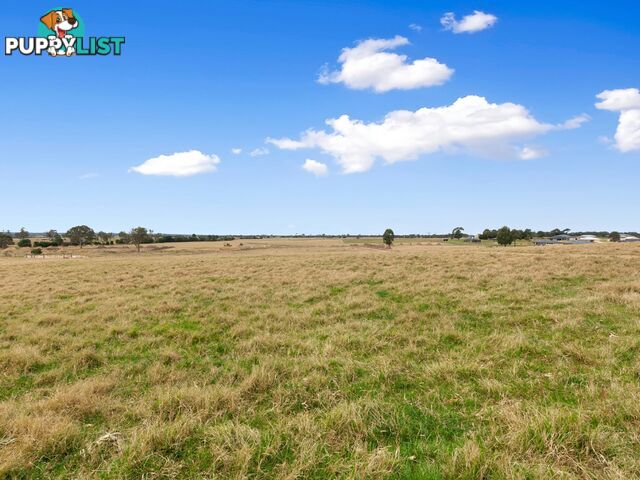 Lot 17/41 Varney Drive LINDENOW SOUTH VIC 3875