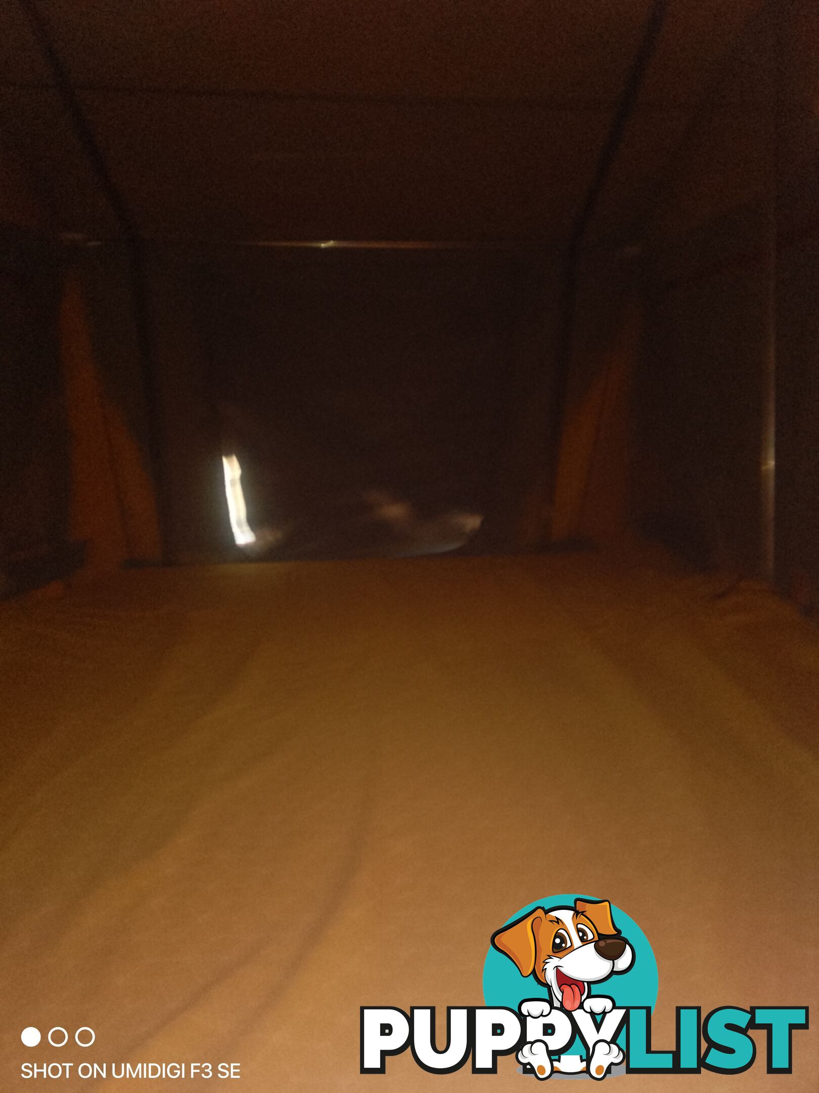 Howling Moon roof top camper