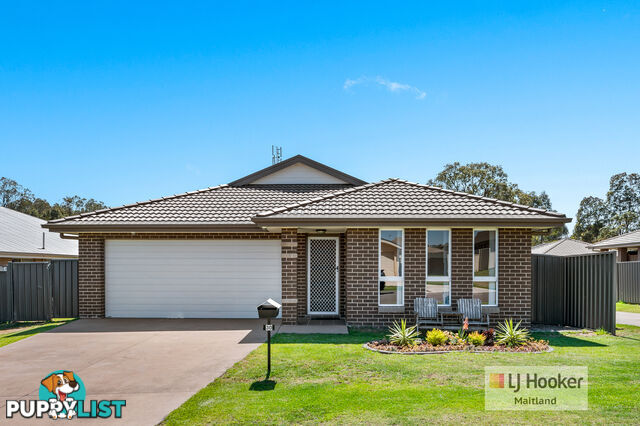 30 Diamond Circuit RUTHERFORD NSW 2320