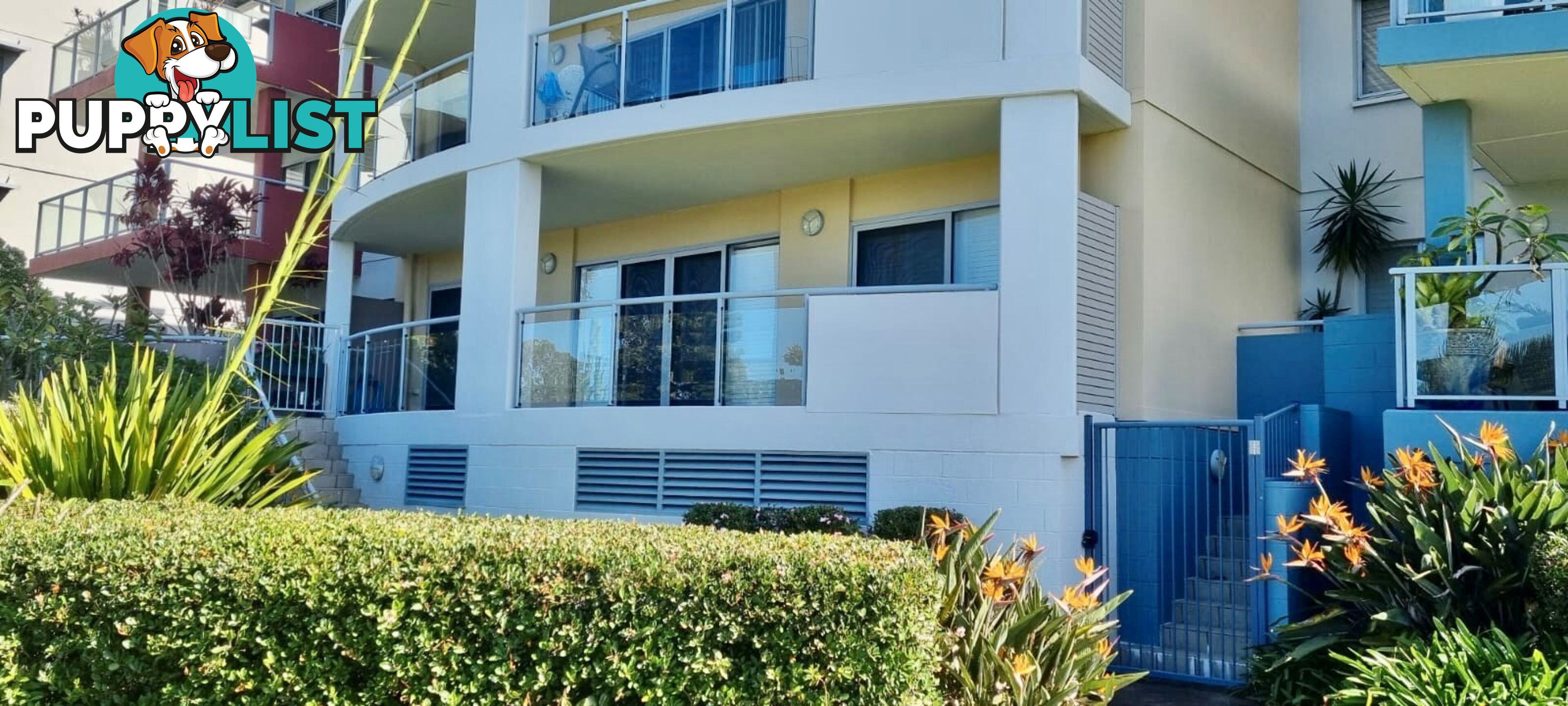 52/233 Hannell Street MARYVILLE NSW 2293