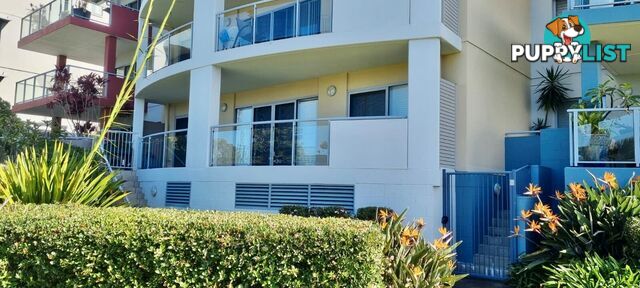 52/233 Hannell Street MARYVILLE NSW 2293