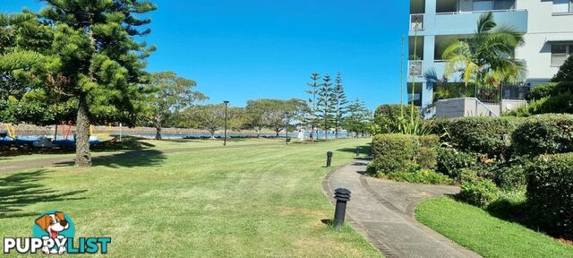 52/233 Hannell Street MARYVILLE NSW 2293