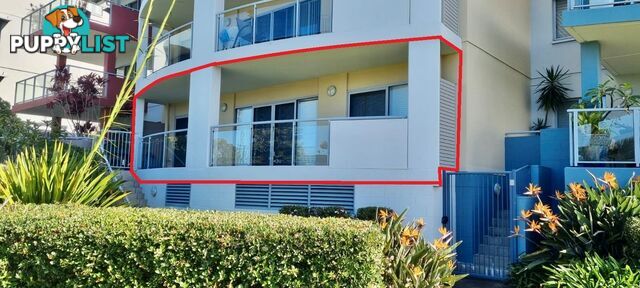 52/233 Hannell Street MARYVILLE NSW 2293