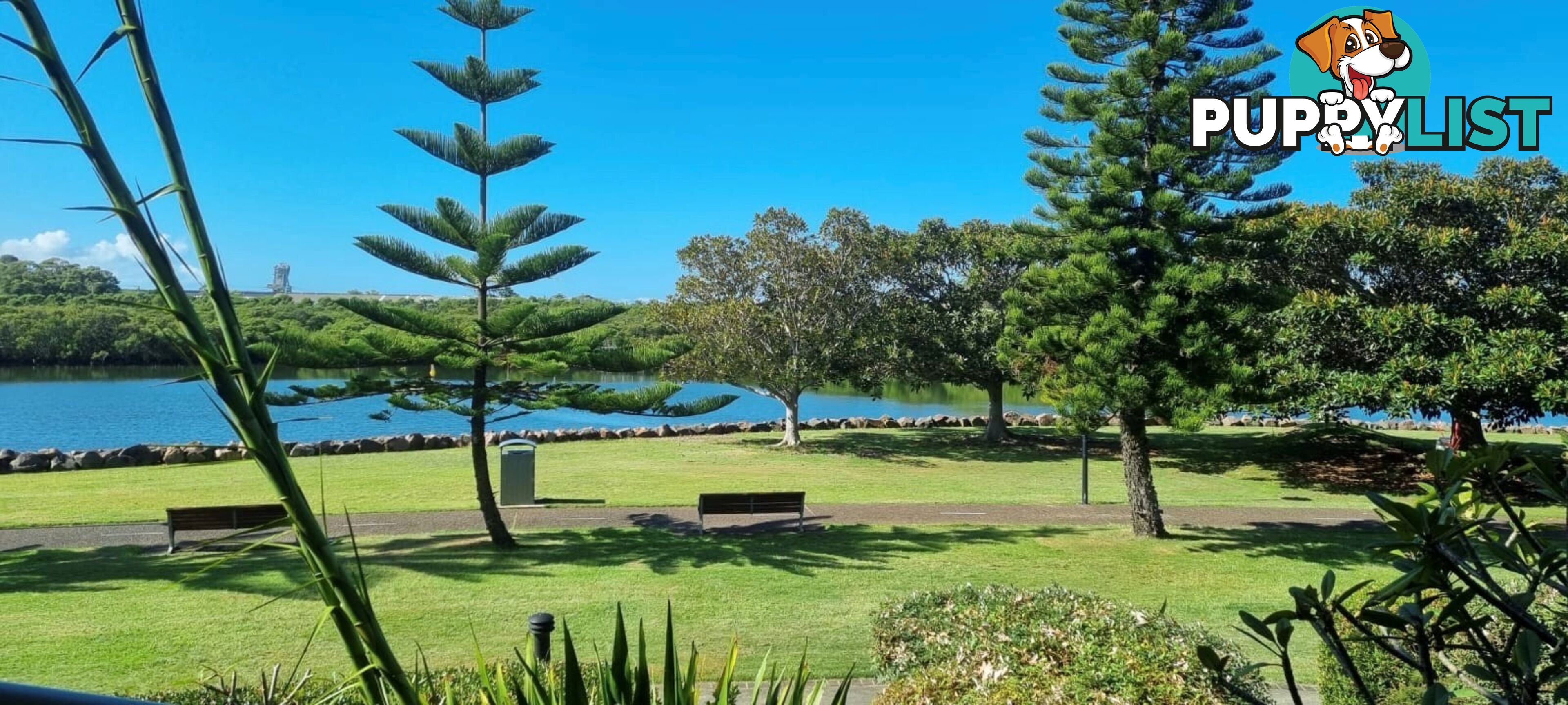 52/233 Hannell Street MARYVILLE NSW 2293