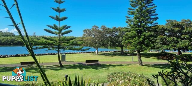 52/233 Hannell Street MARYVILLE NSW 2293