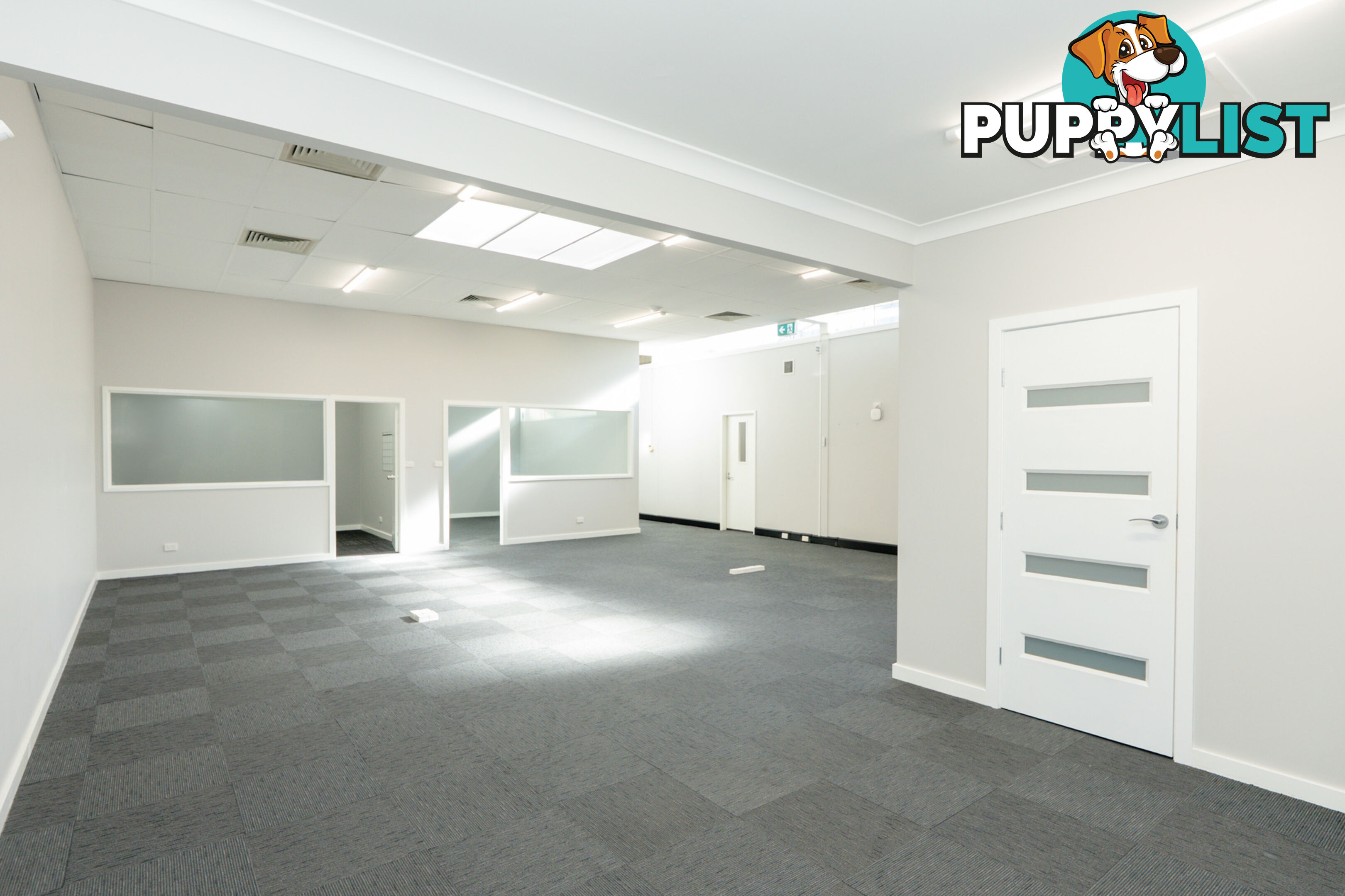 34 Church Street MAITLAND NSW 2320