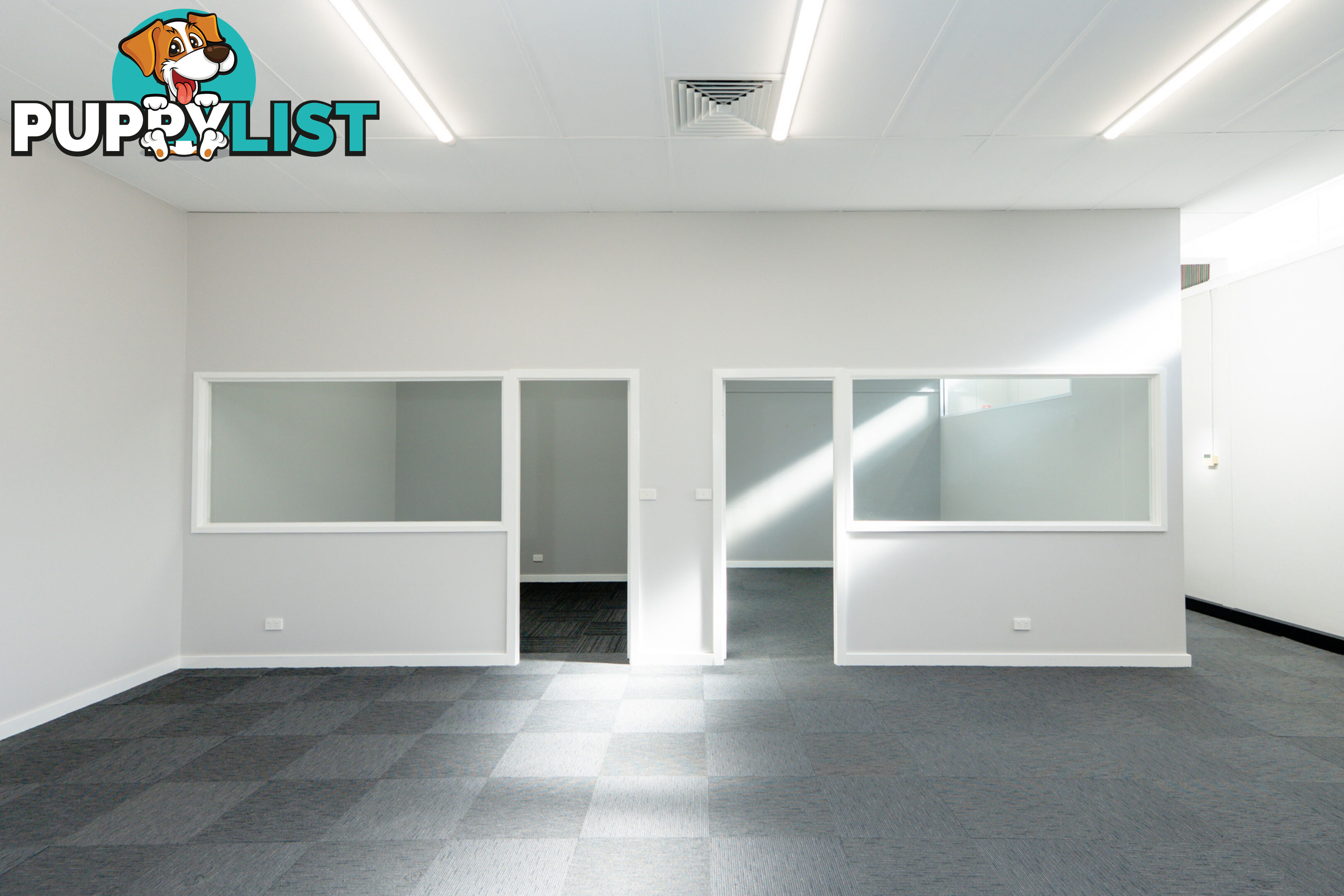 34 Church Street MAITLAND NSW 2320