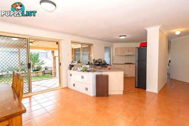 21 Bairds Close RUTHERFORD NSW 2320