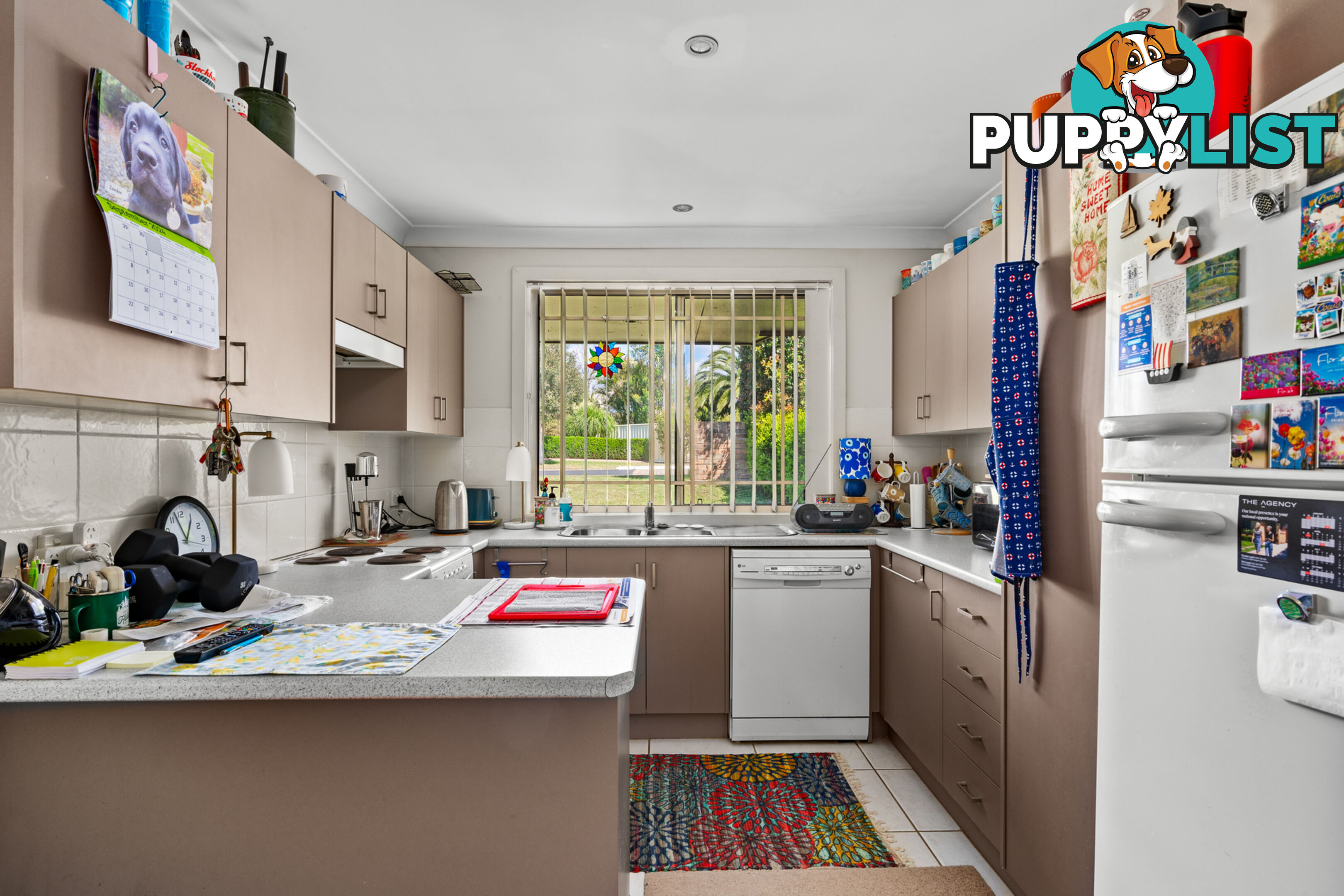 1/159 Budgeree Drive ABERGLASSLYN NSW 2320