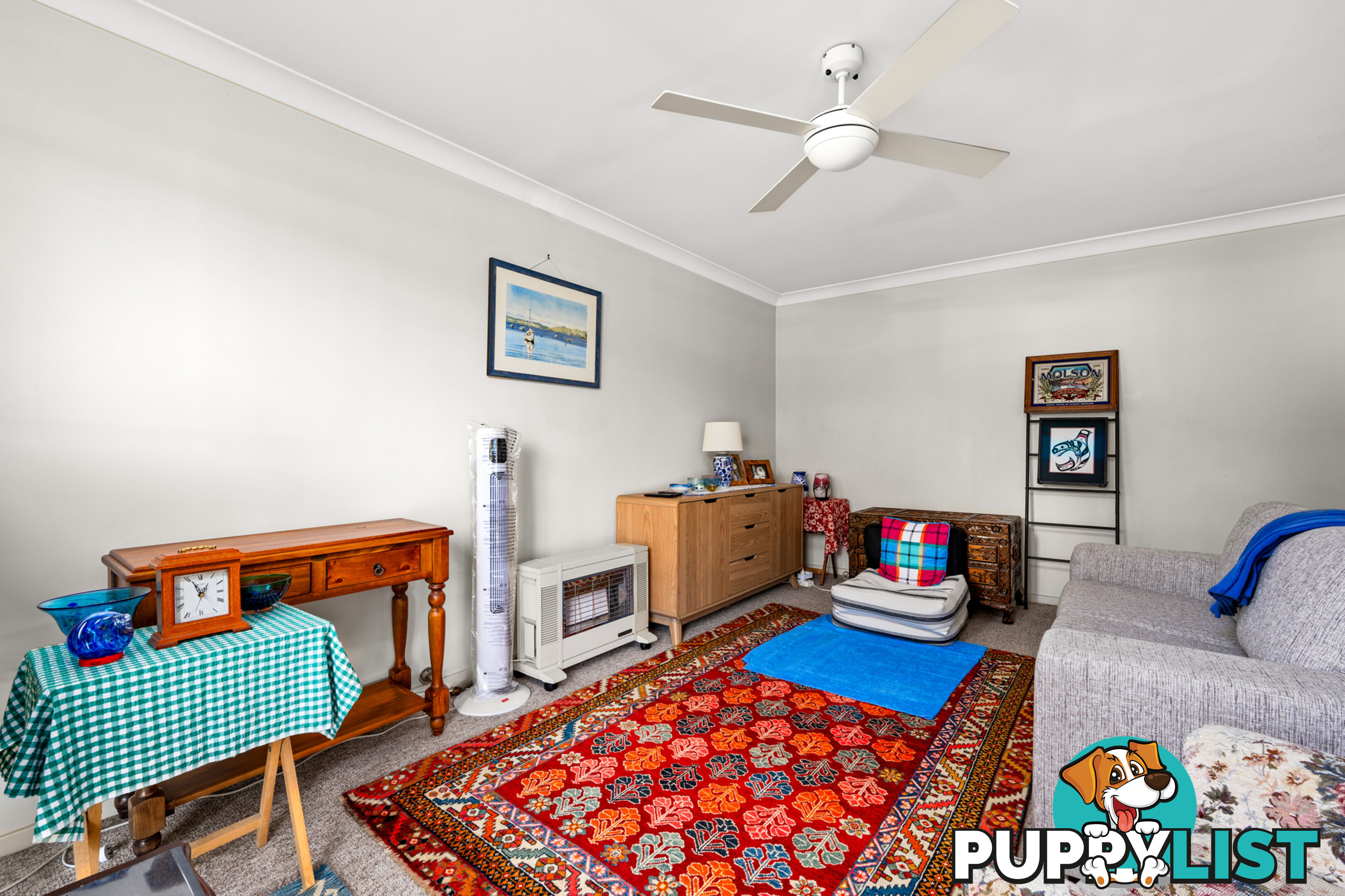 1/159 Budgeree Drive ABERGLASSLYN NSW 2320