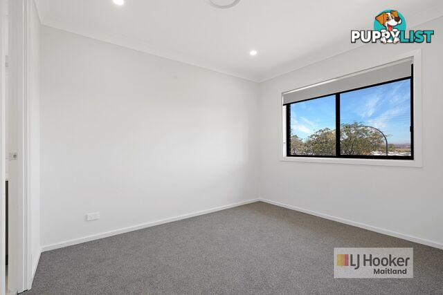30 Camelia Street GILLIESTON HEIGHTS NSW 2321
