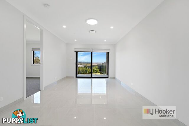 30 Camelia Street GILLIESTON HEIGHTS NSW 2321