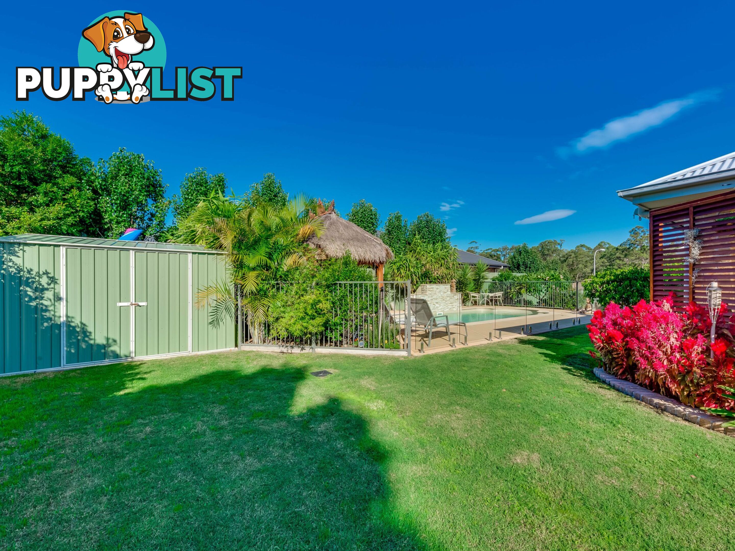 19 Hinchinbrook Close ASHTONFIELD NSW 2323