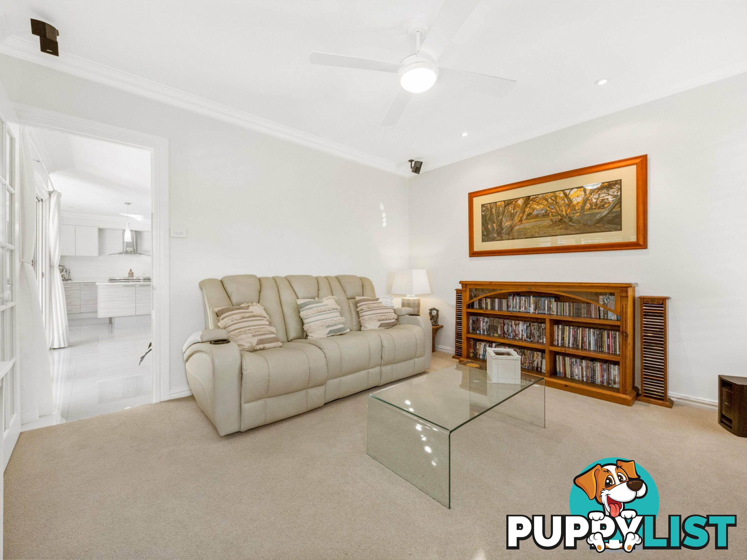 19 Hinchinbrook Close ASHTONFIELD NSW 2323