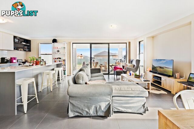 8 Hayworth Street RUTHERFORD NSW 2320