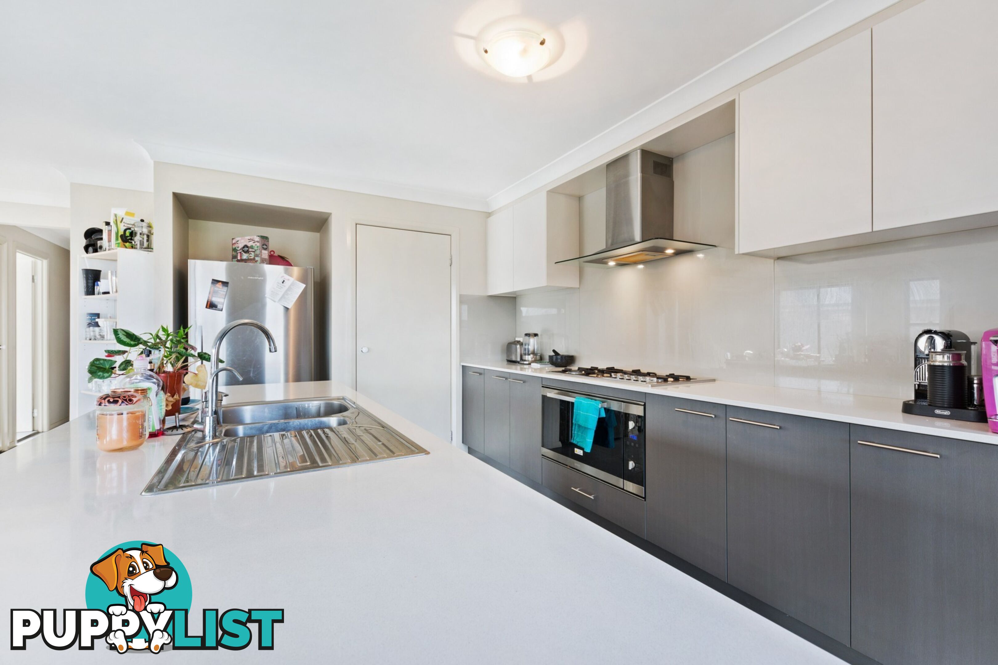 8 Hayworth Street RUTHERFORD NSW 2320