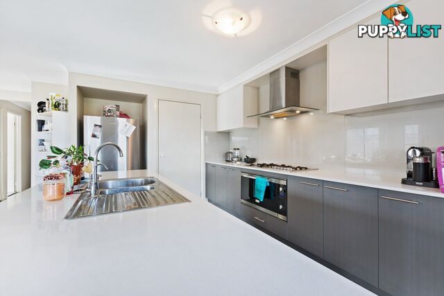 8 Hayworth Street RUTHERFORD NSW 2320