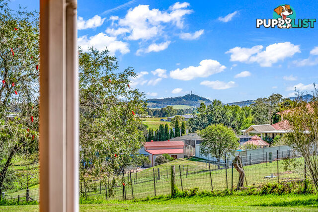 295 Aberglasslyn Road ABERGLASSLYN NSW 2320