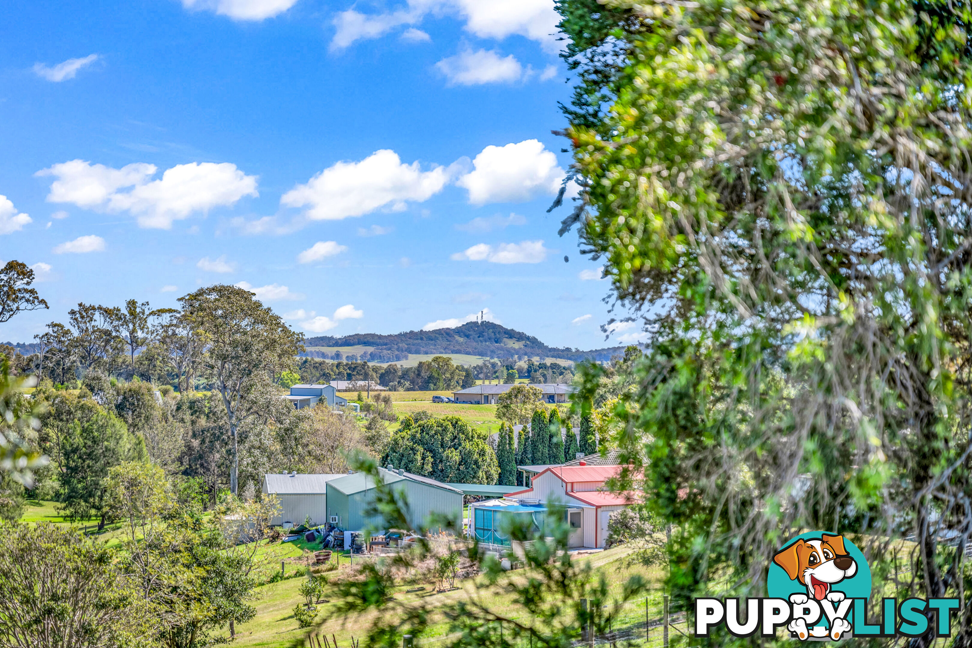 295 Aberglasslyn Road ABERGLASSLYN NSW 2320