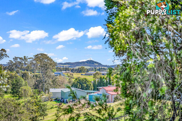 295 Aberglasslyn Road ABERGLASSLYN NSW 2320