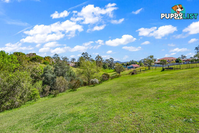 295 Aberglasslyn Road ABERGLASSLYN NSW 2320