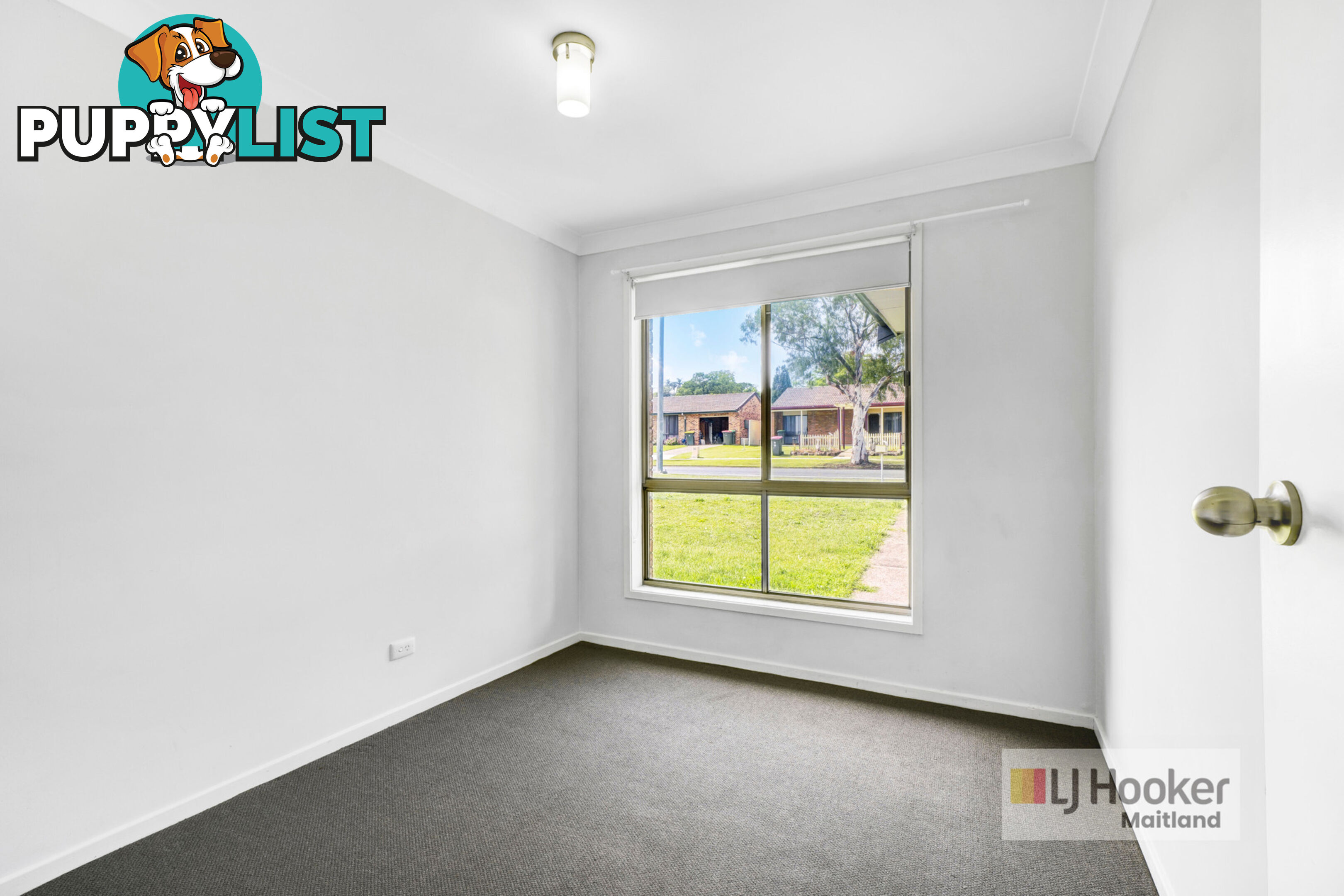 65 Regiment Road RUTHERFORD NSW 2320