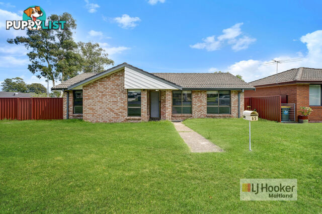 65 Regiment Road RUTHERFORD NSW 2320