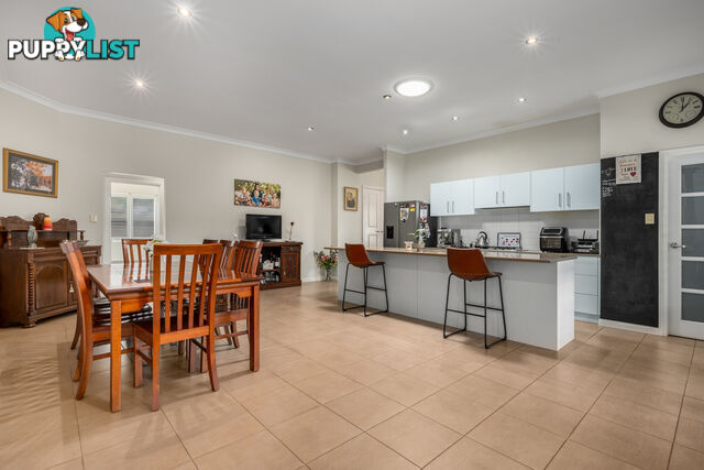 53 Melrose Street LORN NSW 2320