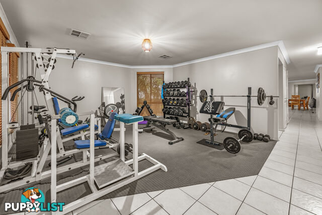 84 Church Street CESSNOCK NSW 2325