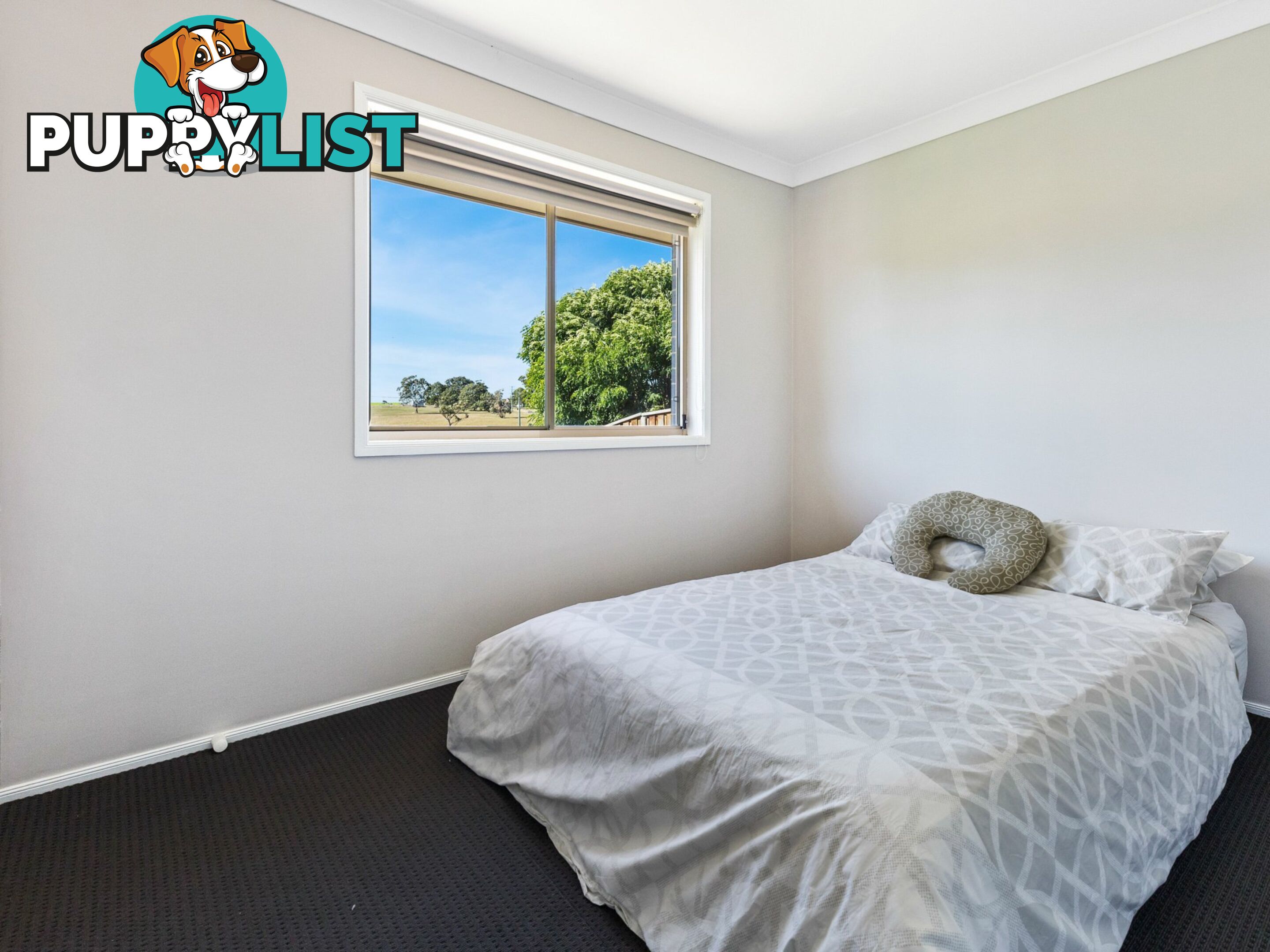 33 Dunnart Street ABERGLASSLYN NSW 2320