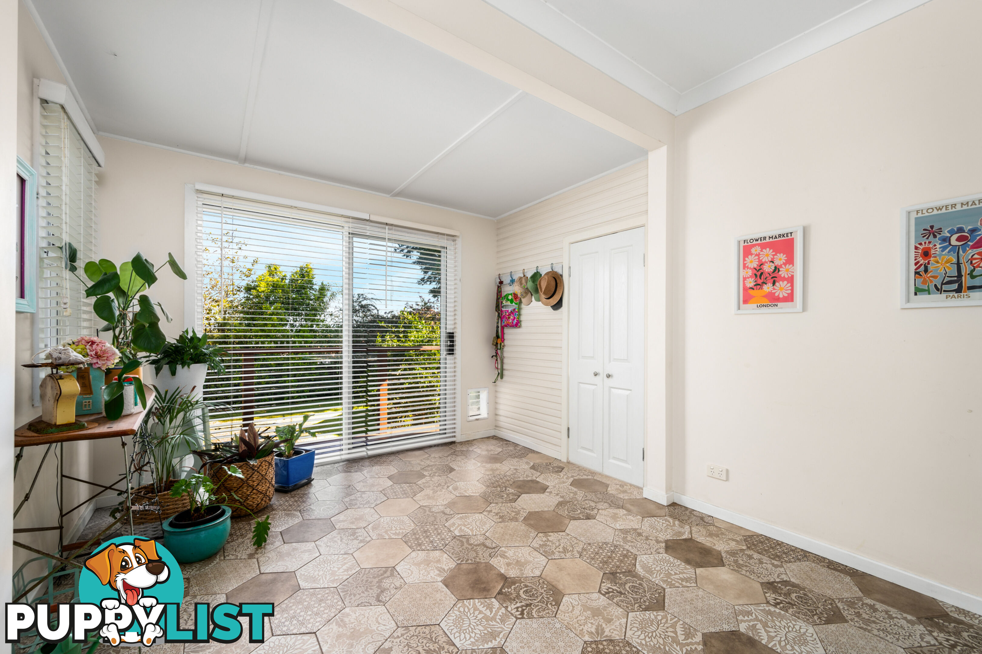 12 Pearson Street RUTHERFORD NSW 2320