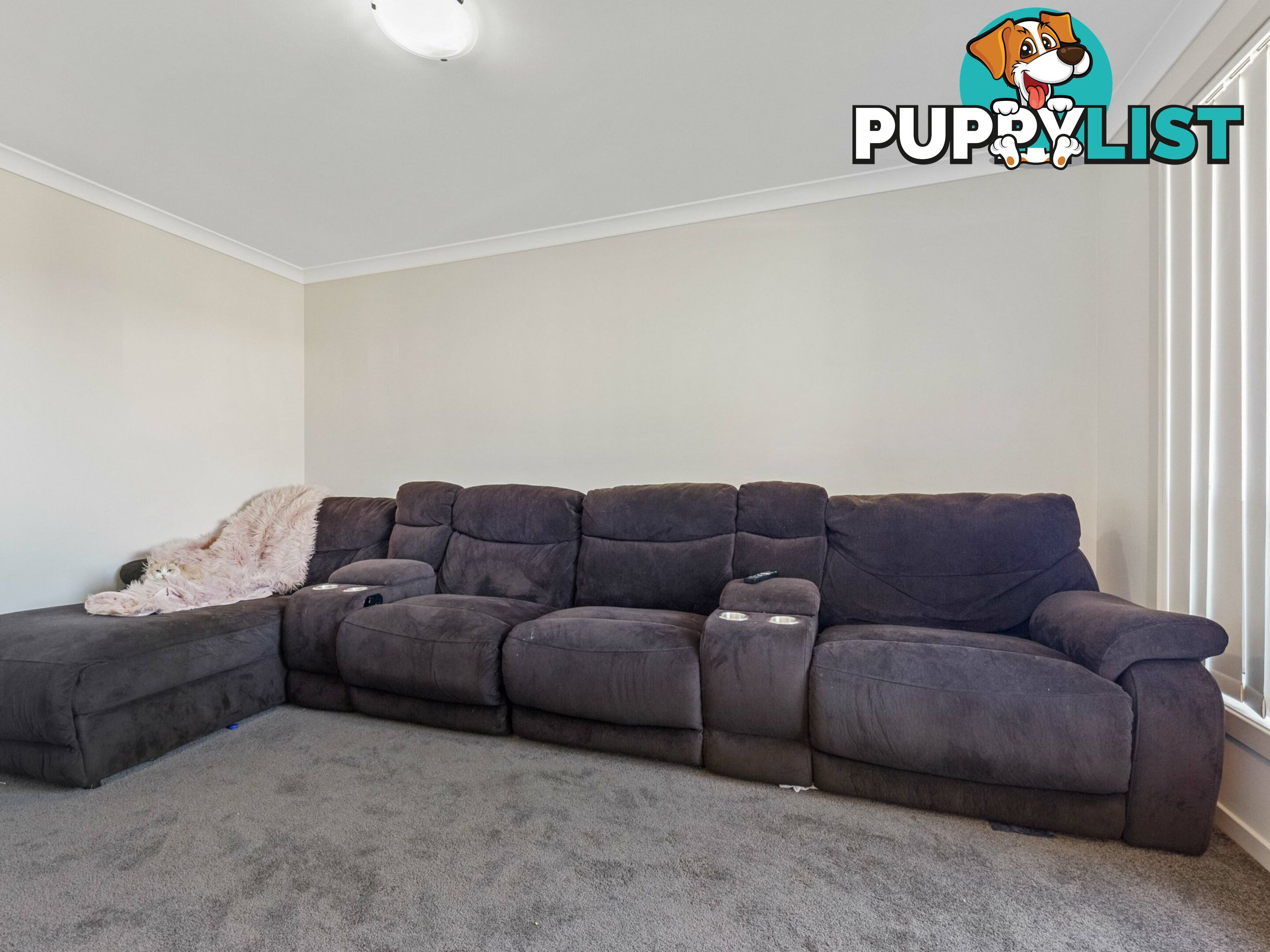 21 Oak Circuit GILLIESTON HEIGHTS NSW 2321