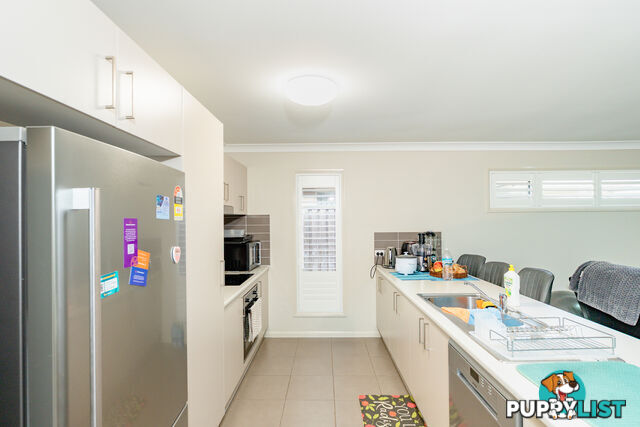 1 Grebe Street ABERGLASSLYN NSW 2320